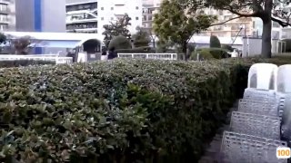 安信信托股吧涩会传媒SH-002万圣回魂夜-夏沫